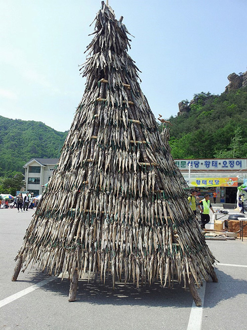 황태축제 